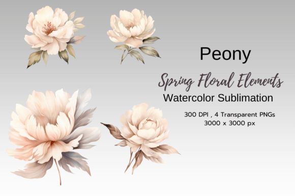Download Peony Spring Florals Clipart Png - Png Collection