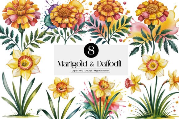 Download Marigold &amp; Daffodil Cliparts Pngs - Png Collection