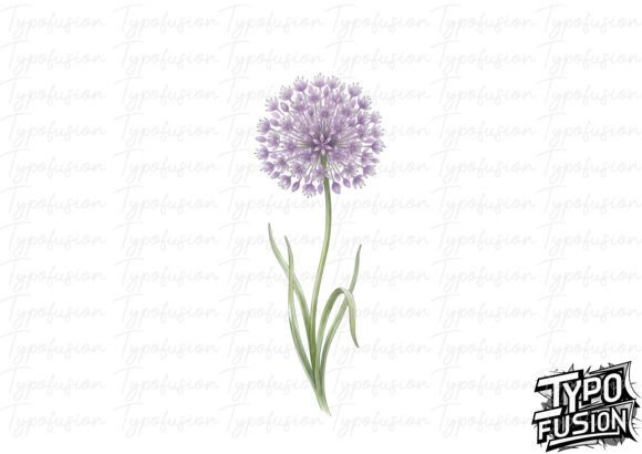 Download Allium Bloom Watercolor PNG - Png Collection