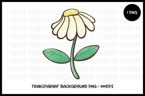 Download White Daisy Clipart PNG - Png Collection