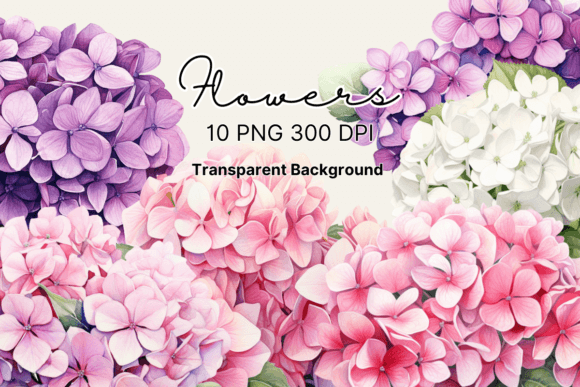 Download Watercolor Hydrangea Flowers Clipart - Hydrangea flowers Collection