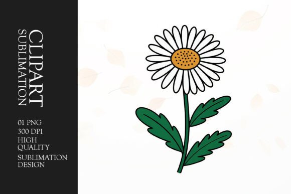 Download White Daisy Clipart PNG - Png Collection