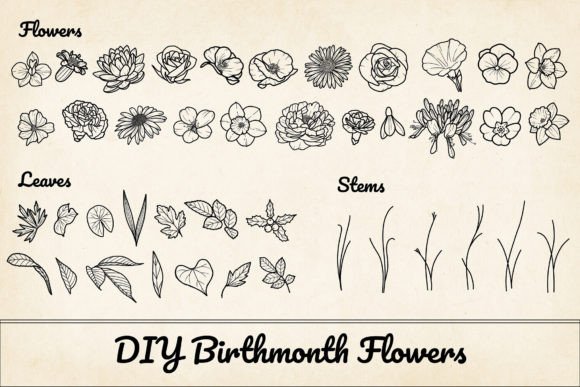 Download 200 Birthflower Element Bundle PNG &amp; SVG - Png Collection