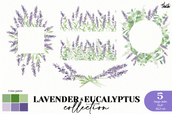 Download Watercolor Lavender and Eucalyptus Png - Png Collection