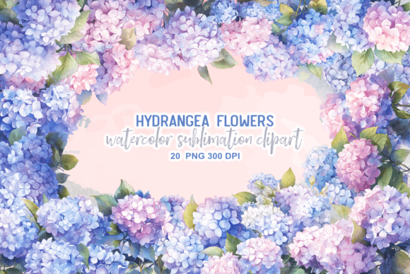 Download Hydrangea Flowers Watercolor Clipart - Hydrangea flowers Collection