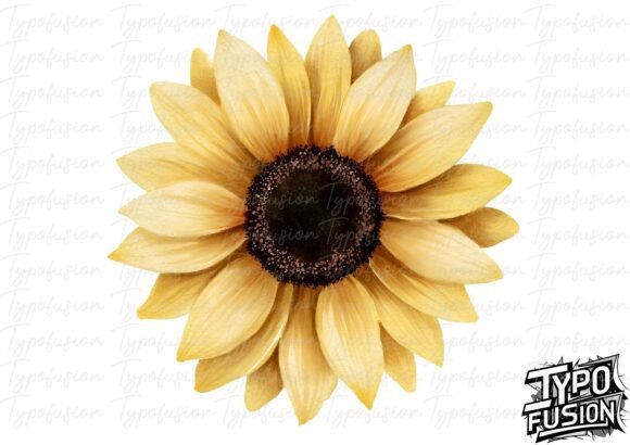 Download Watercolor Sunflower Bloom PNG - Png Collection