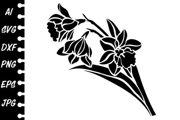 Download Stencil Narcissus Flower - Narcissus Collection