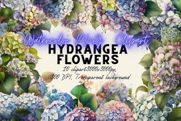 Download Hydrangea Flowers Watercolor Clipart - Hydrangea flowers Collection