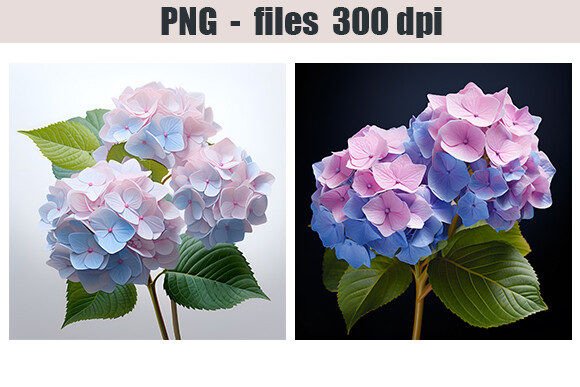Download Hydrangea Flowers Print - Hydrangea flowers Collection