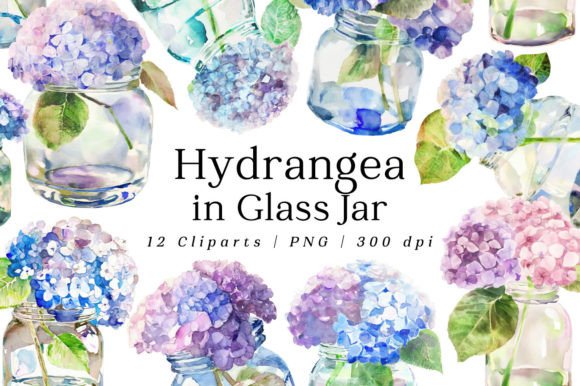 Download Hydrangea Flowers Jar Watercolor Clipart - Hydrangea flowers Collection